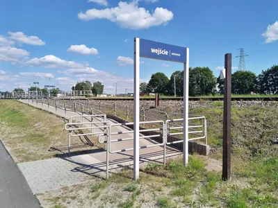 Szlak Głuszca