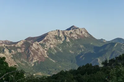 Sutorman - Zupci