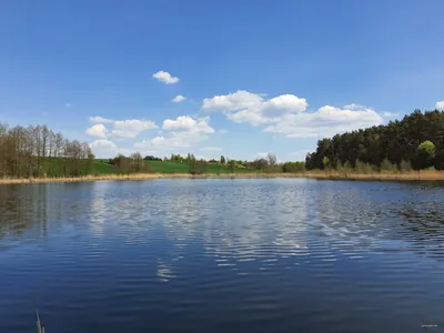 R-2 Murowana Goślina - Biskupice