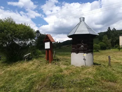 Do cmentarza z I wojny światowej nr 50