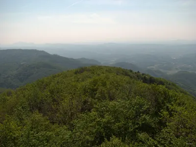 Formila - Boč