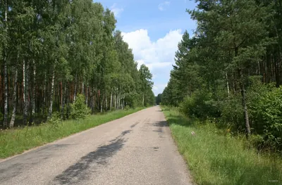 Podlaski Szlak Bociani