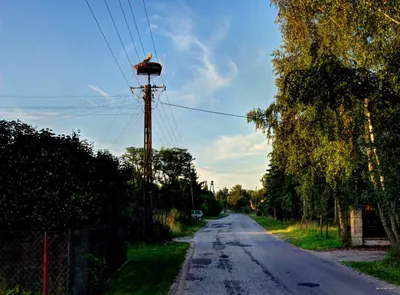 Stare Załubice - Tłuszcz