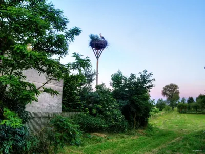 Kuligów - Kuligów