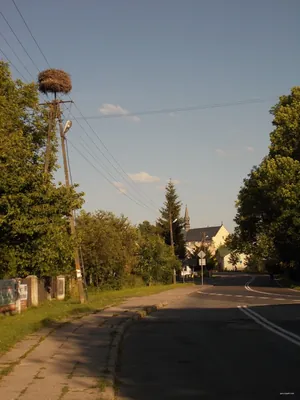 Śladami nadsańskich umocnień "Linia Mołotowa"