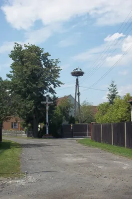 111N Chrząstowice - Poliwoda