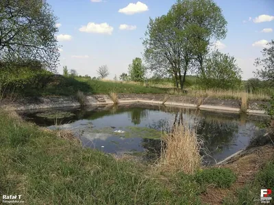 Trasa Borkowice (czarna)