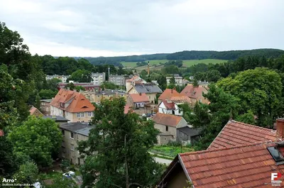 Niebieski Bolków