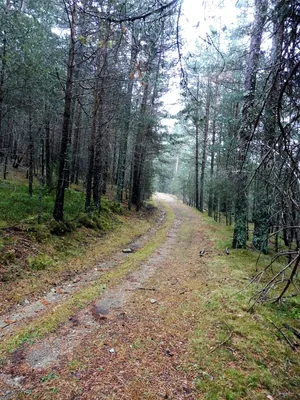Coll de Leix