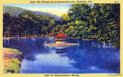 Circular del Bosque