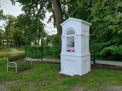 Ścieżka przyrodniczo-edukacyjna Natura 2000 Zabłocie w Budach Głogowskich