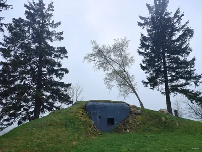 Modrý Flowčko