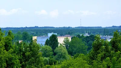 Wilczy Kanion