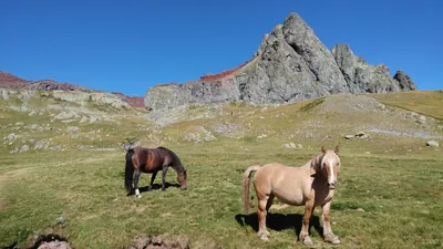 esquí de montaña: variante Vértice Anayet por Cordal