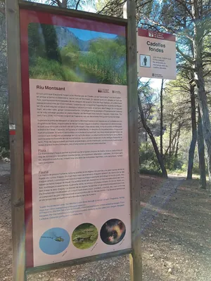 L'ànima de Montsant