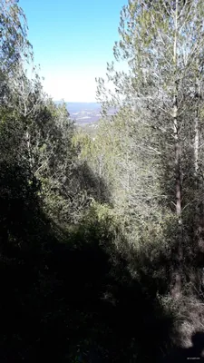 A Sant Jaume de Vallhonesta pel camí dels Maquis