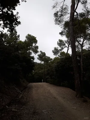 Passejada per la serra d'en Cardona