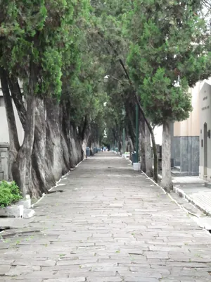 Camino de la Mora