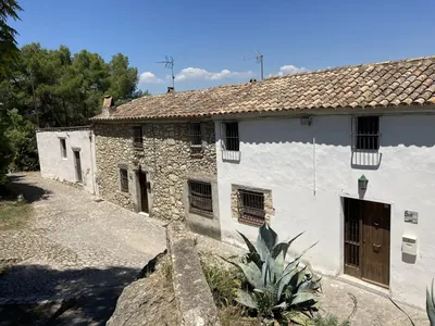 Olivella