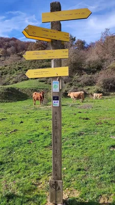 Sarrondo