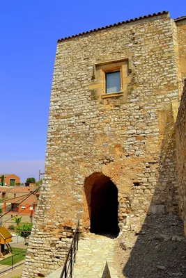 Camí Ral de la Segarra