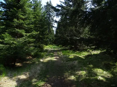 [Z] NS hornická Berghaus