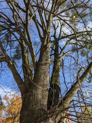Trasa dlouhá zelená