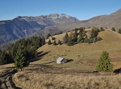 Le Chalet du Mélèze