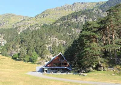 Verte