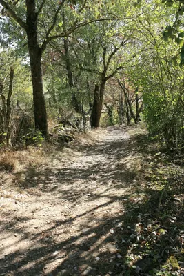 Les Hauts de Mornant