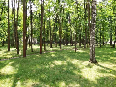 Południowy Szlak Leśny