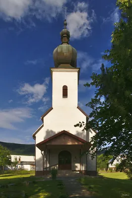 Transgraniczna ścieżka graniczna Wetlina - Rabia Skała - Runina "Nadobnica alpejska"