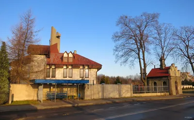 Leśna wyprawa