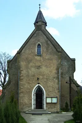 zielony