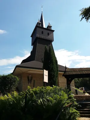 Wąwozy Lasu Wolskiego