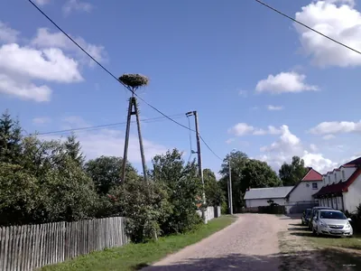 Pętla nr 1 szlaku konnego Zatom