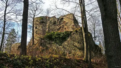 Zamek Stary Książ - Zamek Cisy
