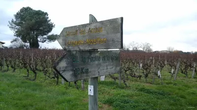 Alternate for circuit départemental Les Arrius