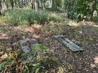 Błaskowizna- Łopuchowo