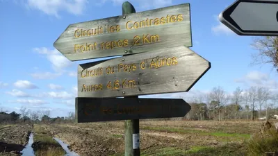Pays d'Auros : Coimères - Auros - Sigalens : circuit départemental