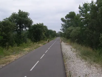 Le Chemin des Oliviers