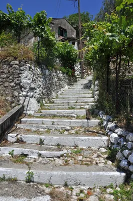 Corfu Paths CC17