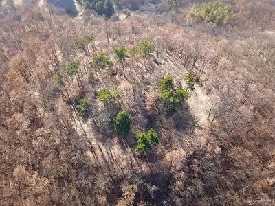 Cserépfalu-Cserépvár kék mtb