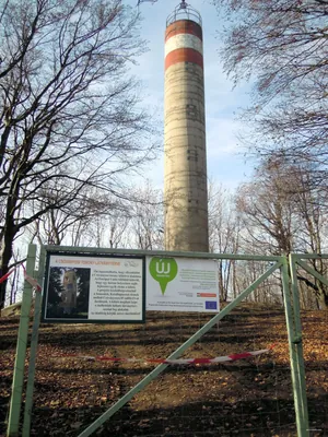 P, Grófi út (Verőce – Csóványos)