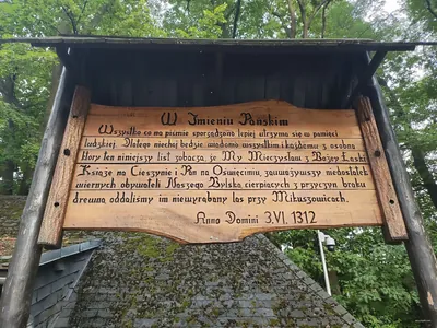 Mikuszowice Śląskie - Jaworze Centrum