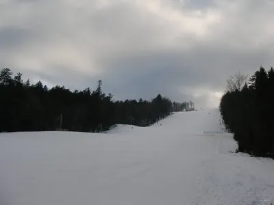 Trasa czarna