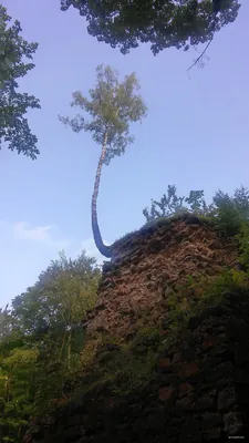 Szlak wokół doliny Eliaszówki