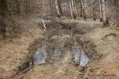 Wokółmiejski Szlak Spacerowy