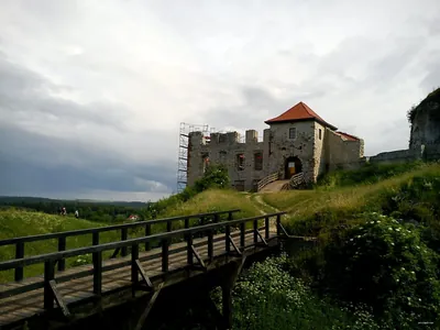 Ścieżka edukacyjna Bagna Błędowskie