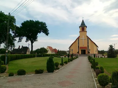 389C: Dąbrówka - Wielowieś
